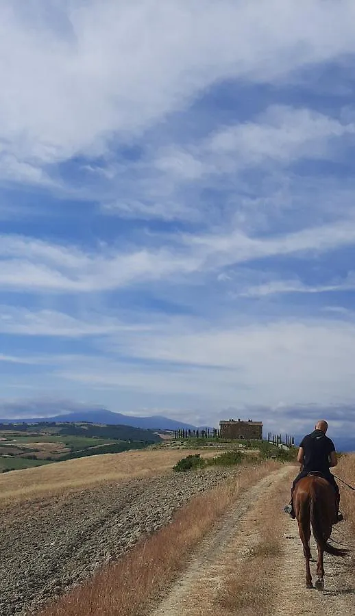 B&B Podere Cottimellino - Montalcino - Val D'Orcia Guest house