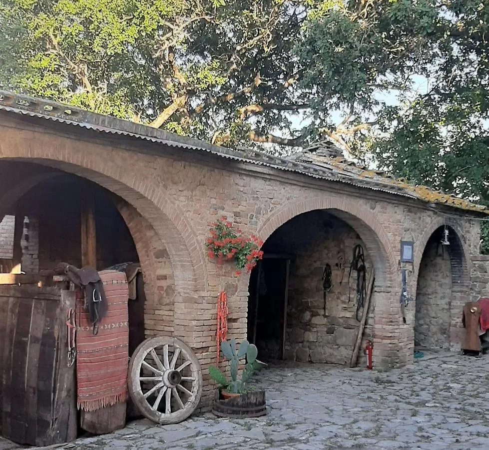 Guest house B&B Podere Cottimellino - Montalcino - Val D'Orcia Italy