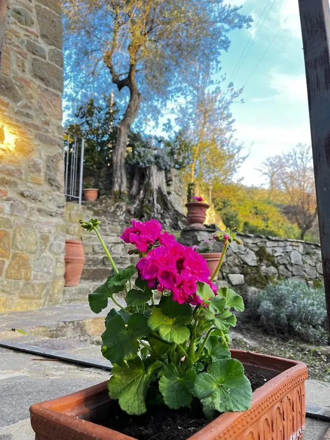 B&B Podere Cottimellino - Montalcino - Val D'Orcia