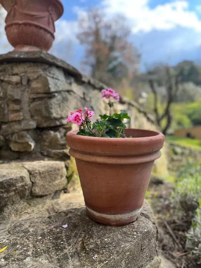 B&B Podere Cottimellino - Montalcino - Val D'Orcia 0*,