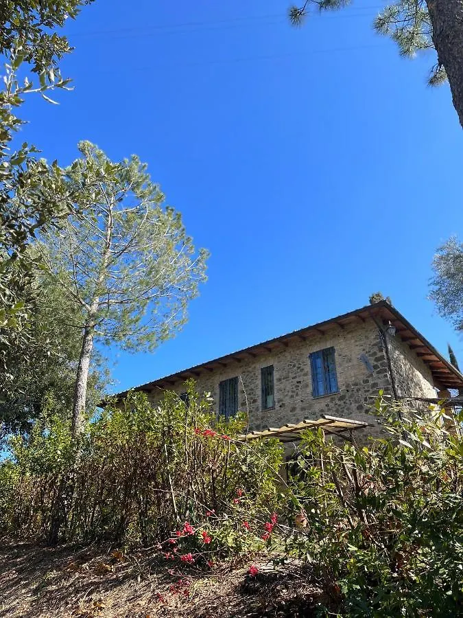 B&B Podere Cottimellino - Montalcino - Val D'Orcia