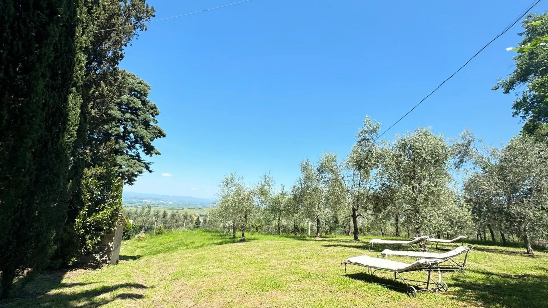 Guest house B&B Podere Cottimellino - Montalcino - Val D'Orcia Italy
