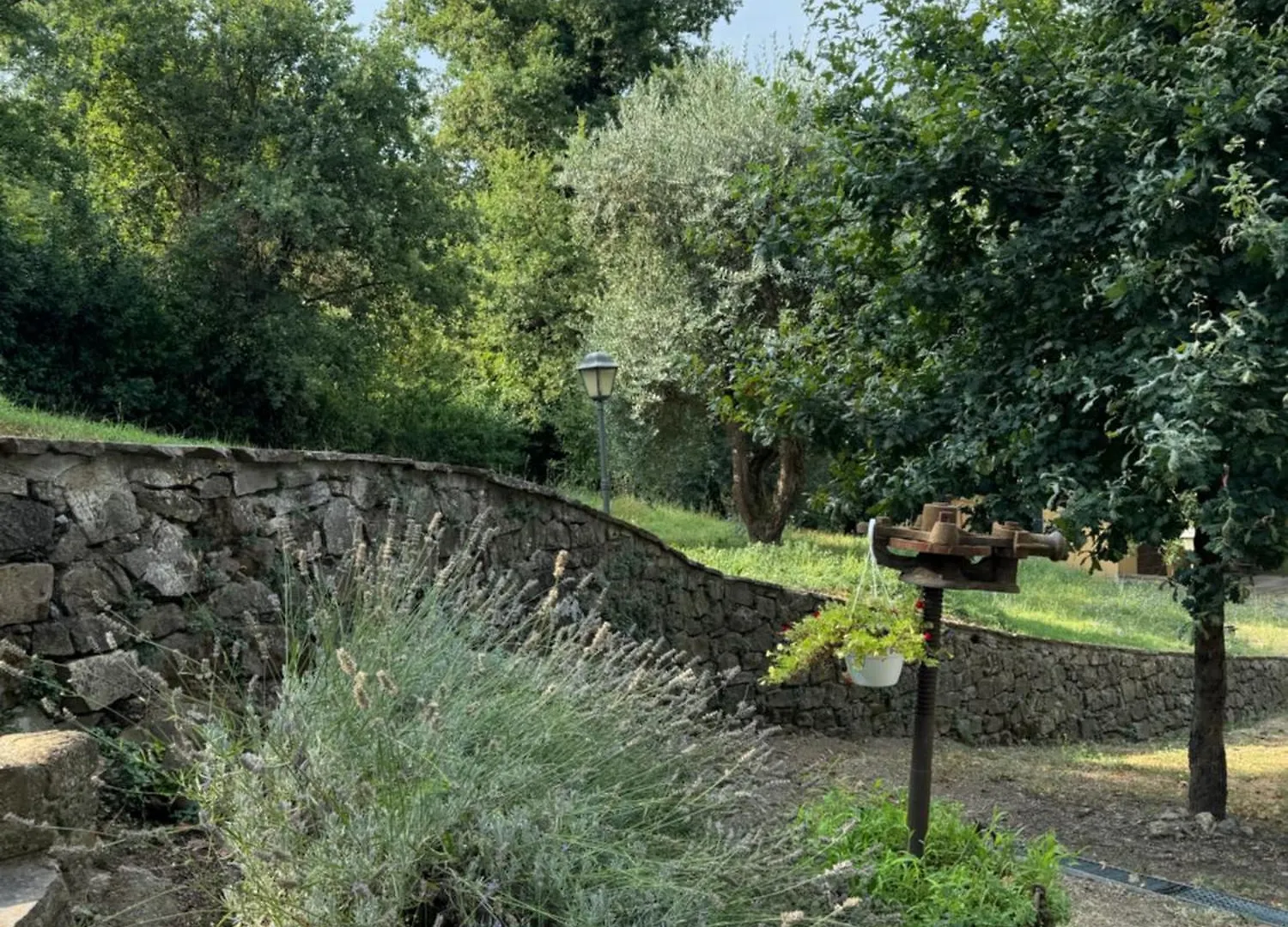 Guest house B&B Podere Cottimellino - Montalcino - Val D'Orcia