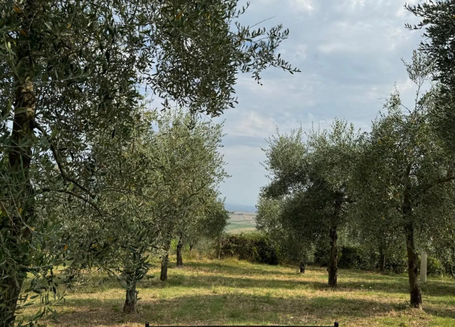 B&B Podere Cottimellino - Montalcino - Val D'Orcia 0*,  Italy