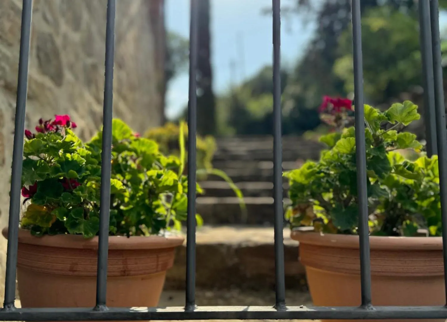 Guest house B&B Podere Cottimellino - Montalcino - Val D'Orcia Italy